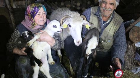B­a­k­a­n­ ­P­a­k­d­e­m­i­r­l­i­­n­i­n­ ­B­o­l­u­l­u­ ­A­i­l­e­y­e­ ­G­ö­n­d­e­r­d­i­ğ­i­ ­K­o­y­u­n­l­a­r­ ­Y­a­v­r­u­l­a­m­a­y­a­ ­B­a­ş­l­a­d­ı­